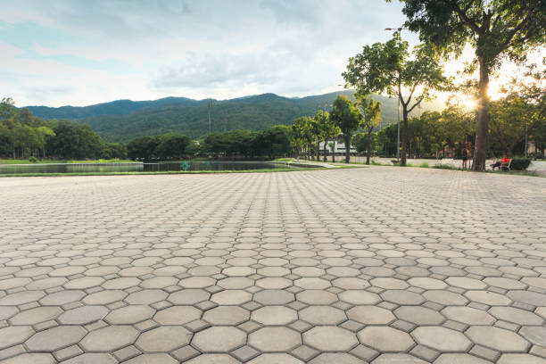 Best Concrete Paver Driveway  in Moroni, UT